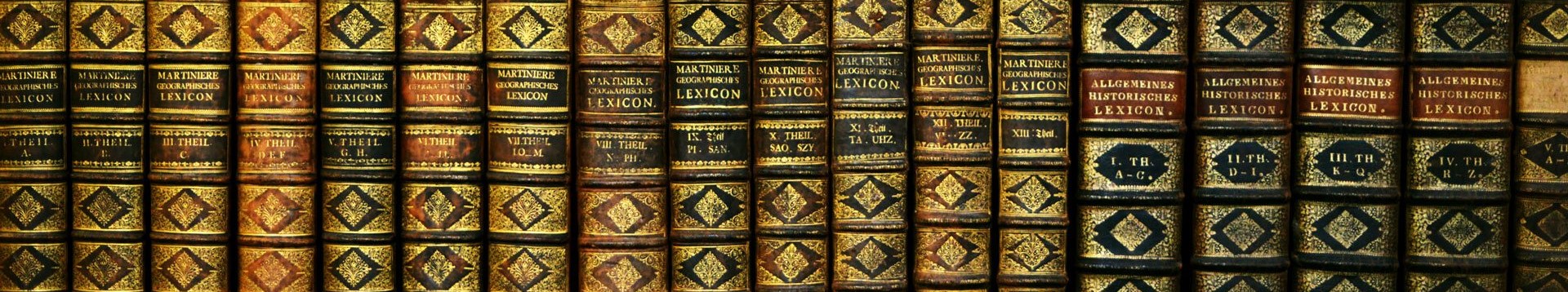 Darstellung mehrerer Bücher in einer horizontalen Reihe mit braunem Ledereinband und goldenen Buchstaben